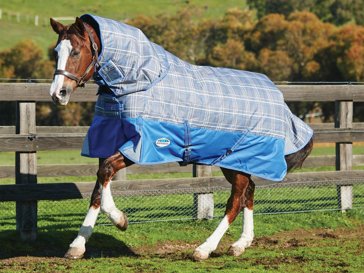Why Rug Your Horse Weatherbeeta New Zealand Rug And You Should Consider Own Horses Living Grazing Conditions Your Clipping Routine Weight Age Exercise Level Before Purchasing A