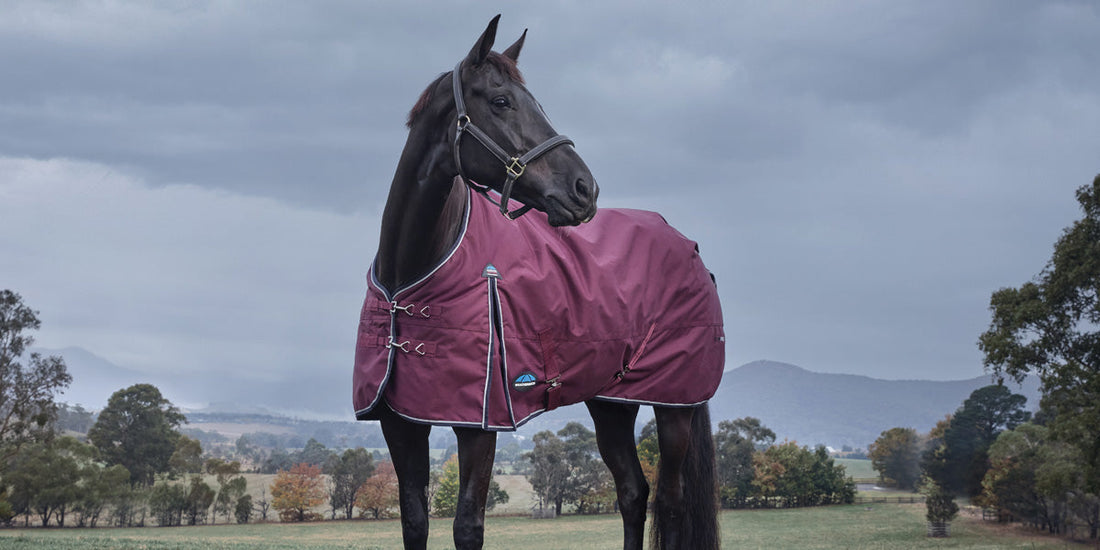 WeatherBeeta Winter 2026: Protection Reimagined for Your Horse