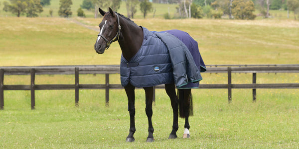 The Benefits Of Using A Horse Rug Liner System