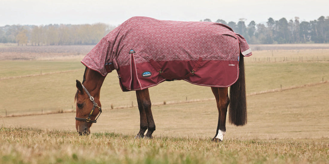 Introducing the New ComFiTec Limited Edition Turnout Rugs