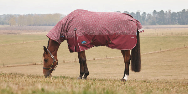 ComFiTec Limited Edition Turnout Rug