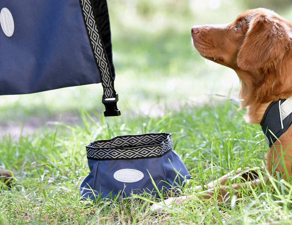 WeatherBeeta Explorer Dog Water/Feed Bowl