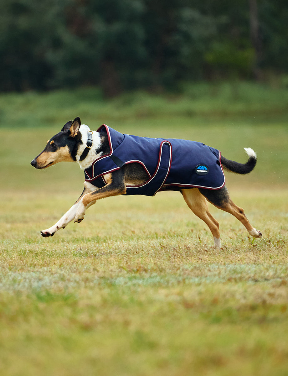 WeatherBeeta ComFiTec Premier Deluxe Waterproof Dog Coat