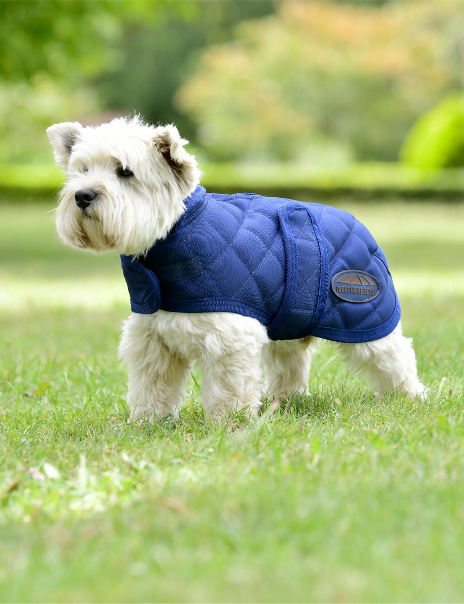 WeatherBeeta ComFiTec Deluxe Diamond Quilt Dog Coat
