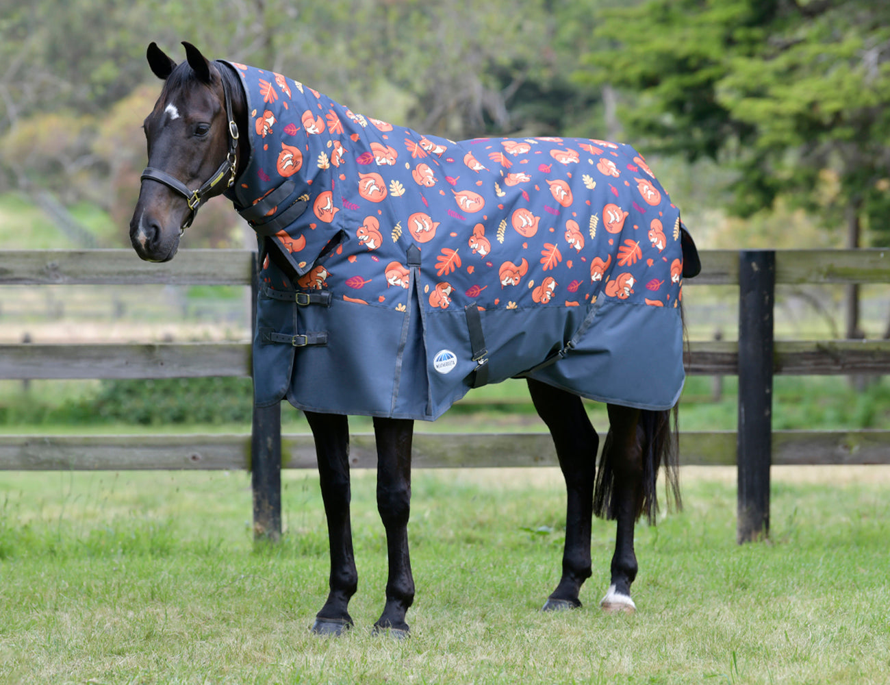 WeatherBeeta ComFiTec Essential Combo Neck Lite Plus