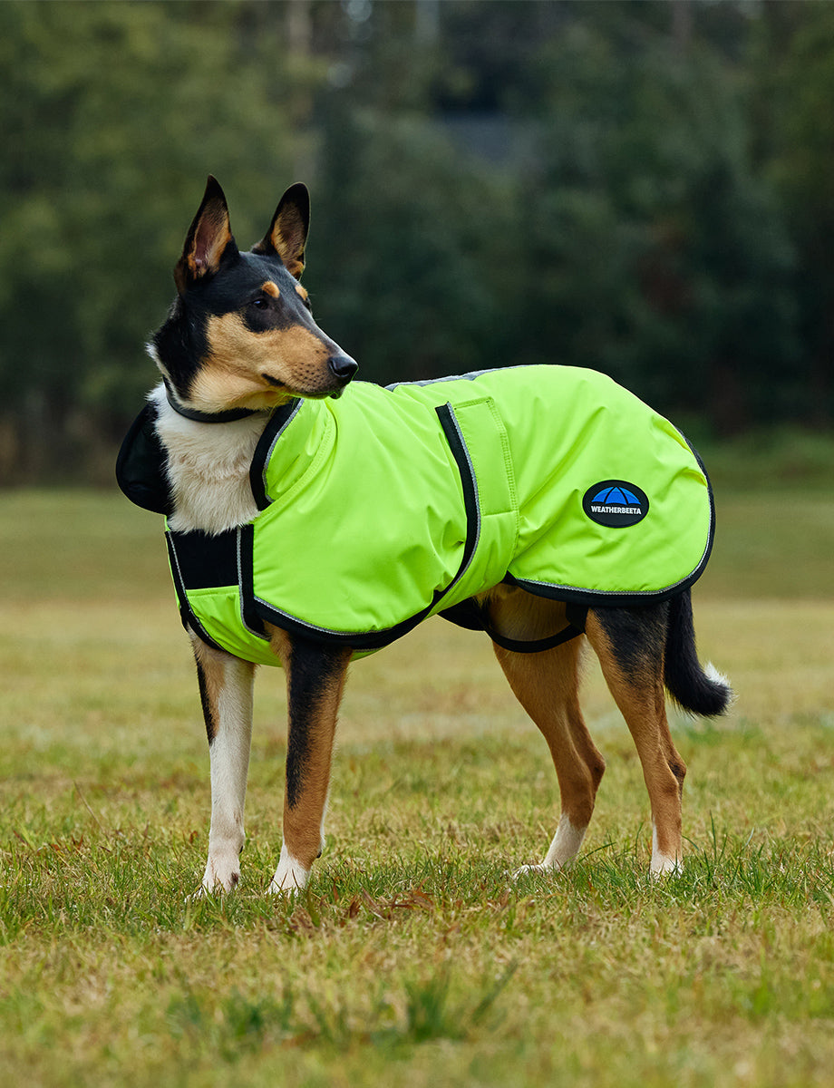 WeatherBeeta ComFiTec Reflective 300D Deluxe Showerproof Dog Coat