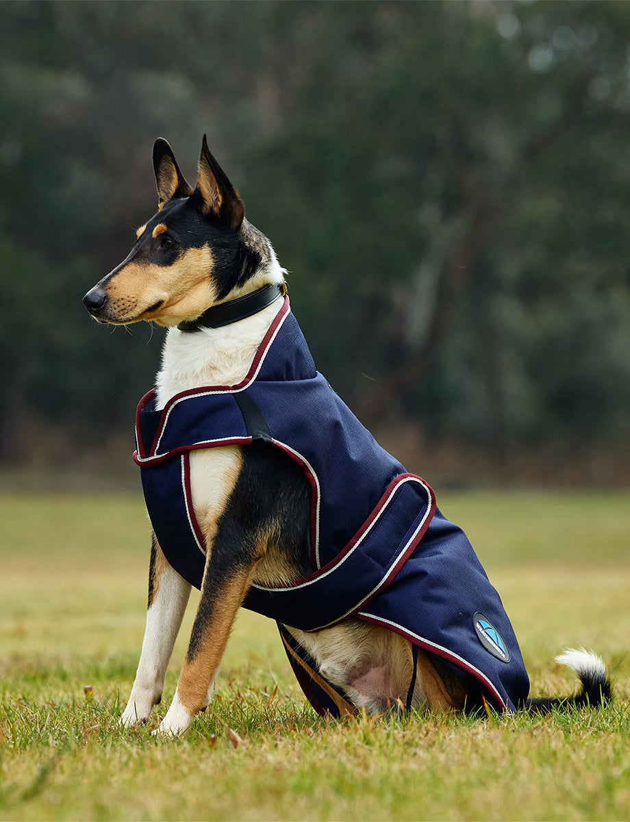 WeatherBeeta ComFiTec Premier Deluxe Waterproof Dog Coat