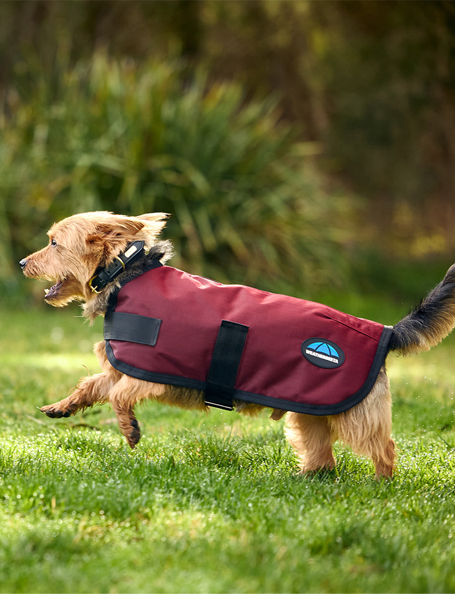WeatherBeeta ComFiTec Classic Waterproof Dog Coat