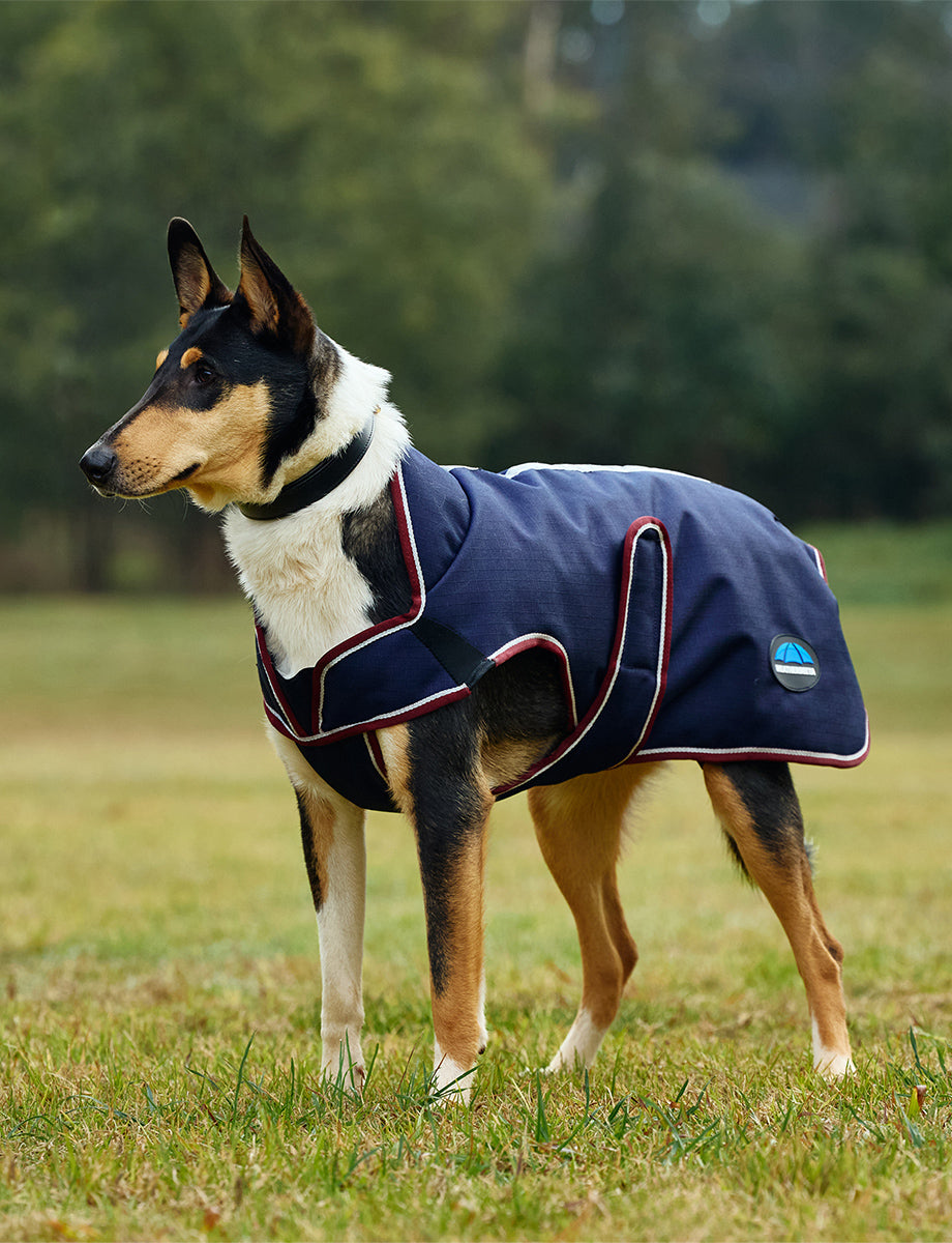 WeatherBeeta ComFiTec Premier Deluxe Waterproof Dog Coat