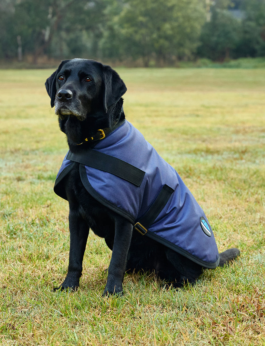 WeatherBeeta ComFiTec Classic Waterproof Dog Coat