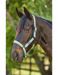 WeatherBeeta Coordinate Headcollar
