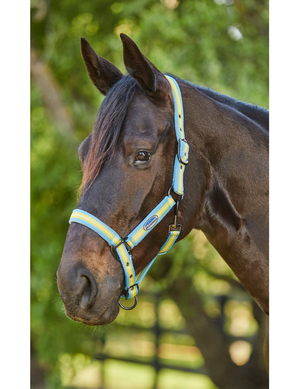 WeatherBeeta Coordinate Headcollar