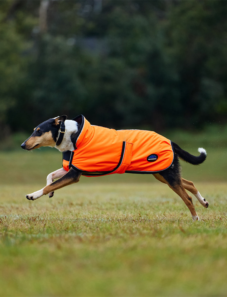 WeatherBeeta ComFiTec Reflective 300D Deluxe Showerproof Dog Coat