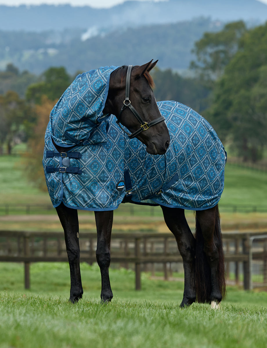 WeatherBeeta ComFiTec Limited Edition Fly Sheet Combo