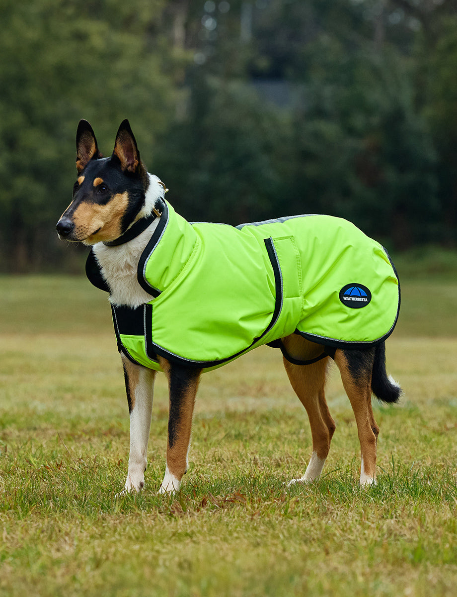 WeatherBeeta ComFiTec Reflective 300D Deluxe Showerproof Dog Coat