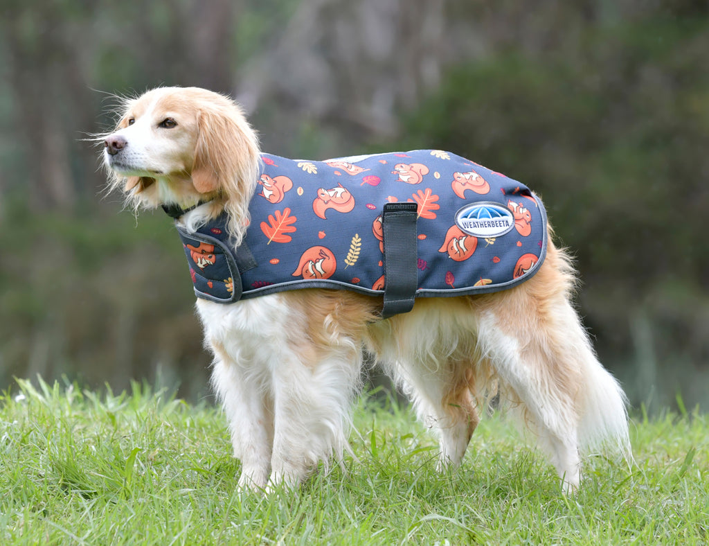WeatherBeeta ComFiTec Premier Free Parka Dog Coat Medium