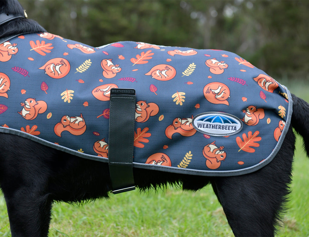 WeatherBeeta ComFiTec Premier Free Parka Dog Coat Medium