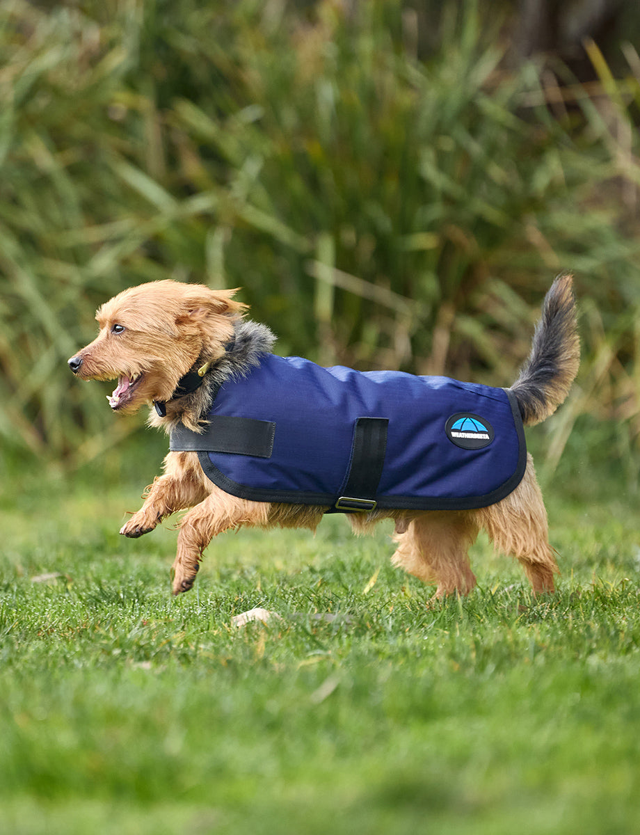 WeatherBeeta ComFiTec Classic Waterproof Dog Coat