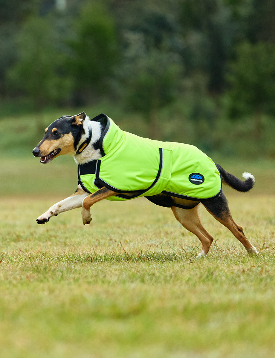 WeatherBeeta ComFiTec Reflective 300D Deluxe Showerproof Dog Coat