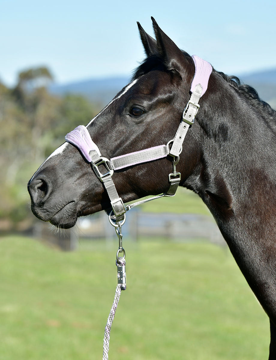 WeatherBeeta Prime Plus Headcollar And Lead Set