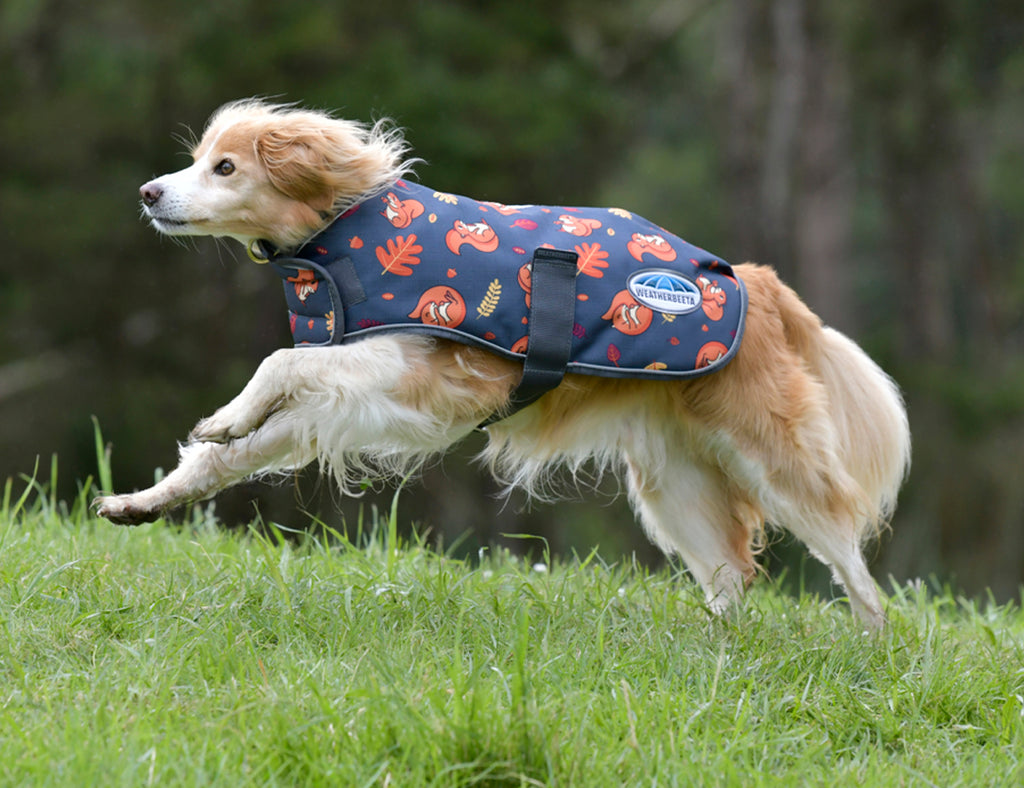 WeatherBeeta ComFiTec Premier Free Parka Dog Coat Medium