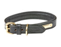WeatherBeeta Padded Leather Dog Collar