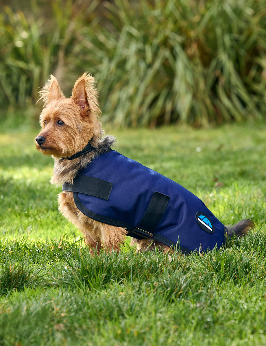 WeatherBeeta ComFiTec Classic Waterproof Dog Coat