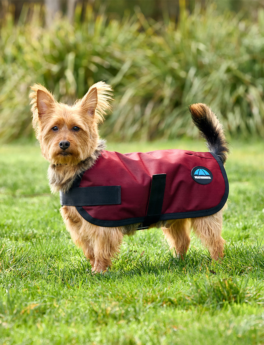 WeatherBeeta ComFiTec Classic Waterproof Dog Coat