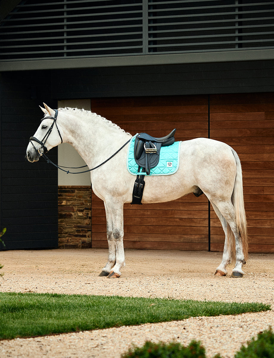 image_addtnl_1 - Aqua - WeatherBeeta Satin Luxe Air-Tec Dressage Saddle Pad - .jpg