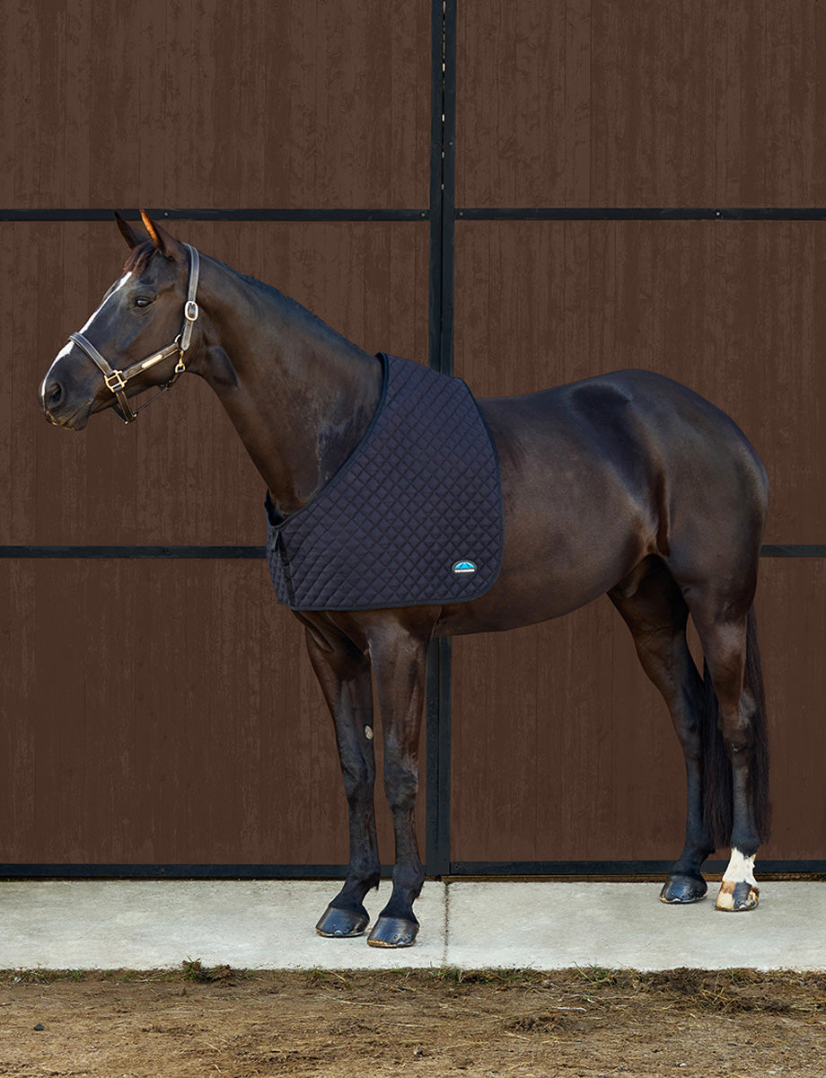 image_addtnl_1 - Black - WeatherBeeta Deluxe Shoulder Guard - .jpg