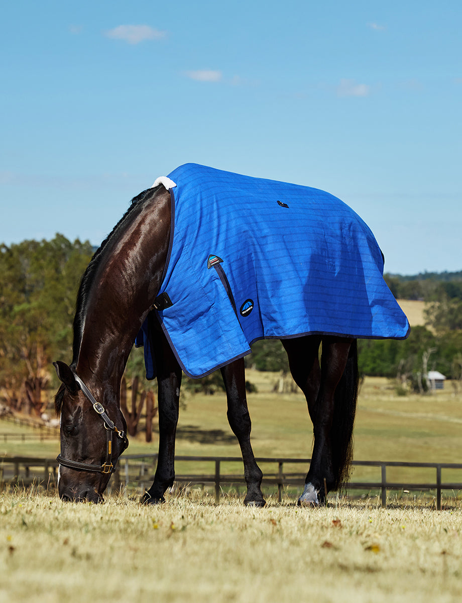 image_addtnl_1 - Blue/Black - WeatherBeeta Lined Canvas - .jpg