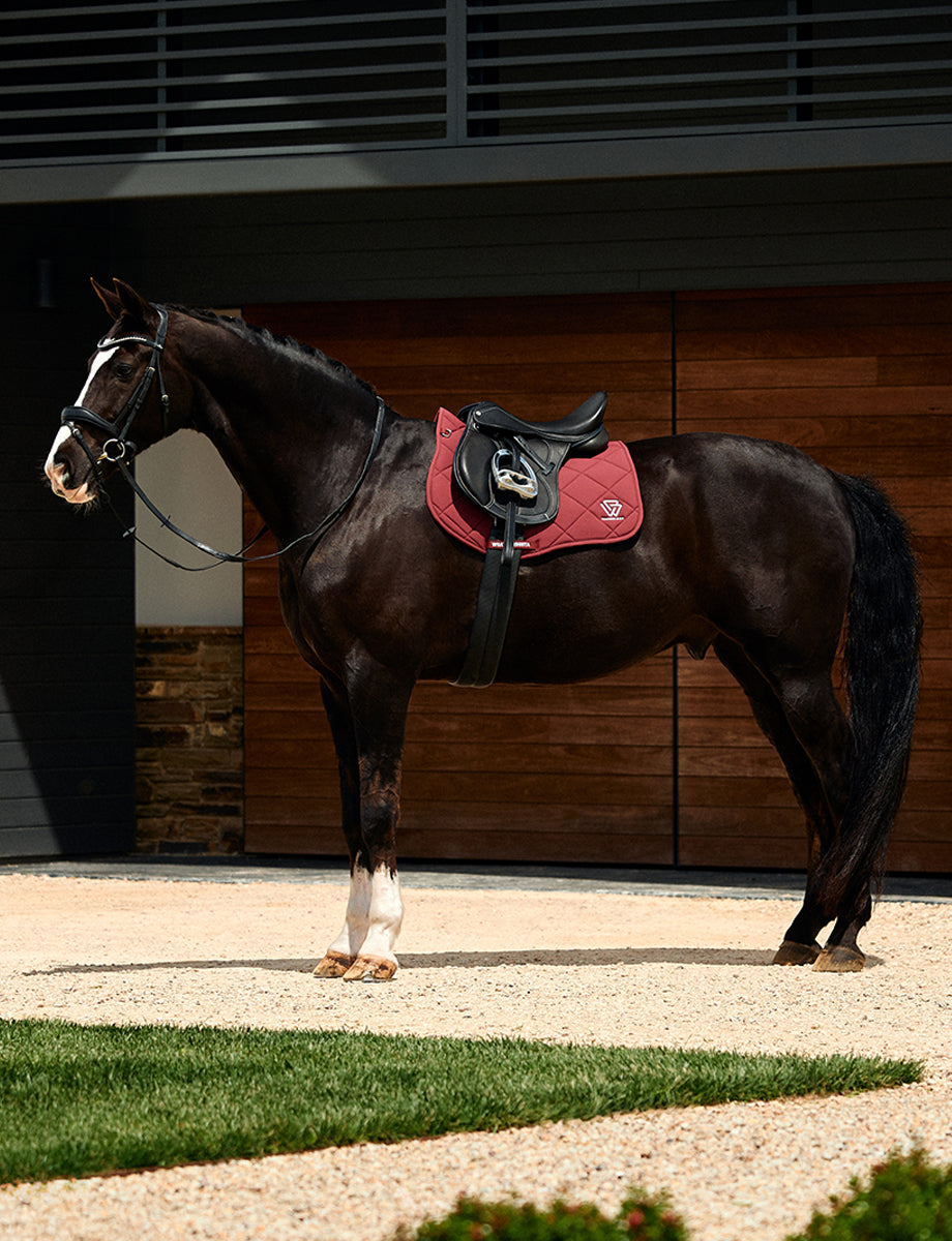 WeatherBeeta Softshell Pro 3D Air-Tec All Purpose Saddle Pad