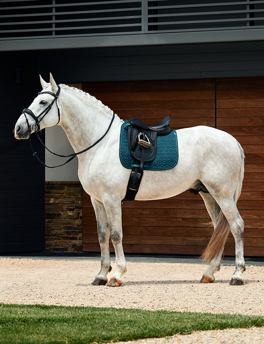 WeatherBeeta Suede Elite Air-Tec Dressage Saddle Pad
