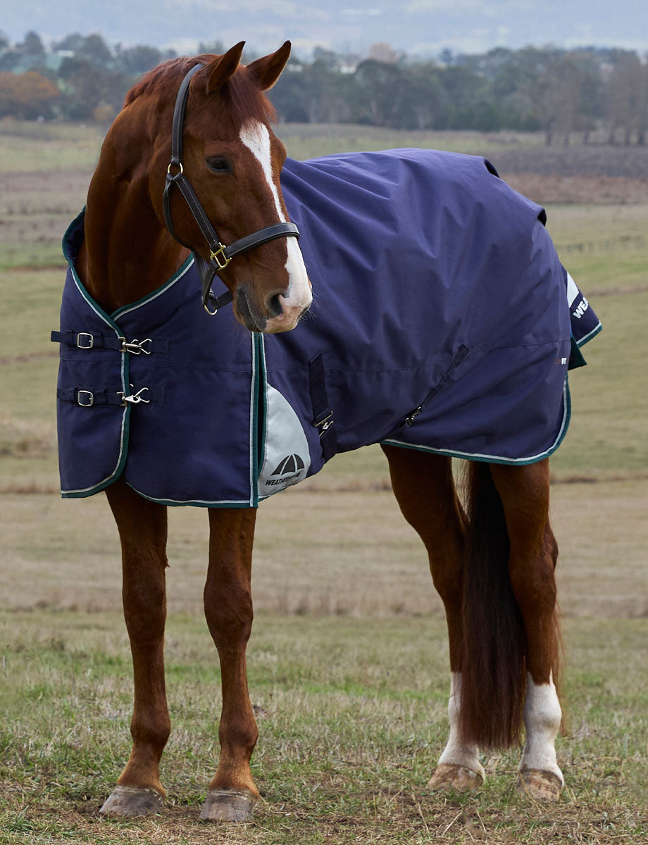 image_addtnl_1 - Navy/Forest Green - WeatherBeeta ComFiTec Plus Dynamic Turnout 100G - .jpg