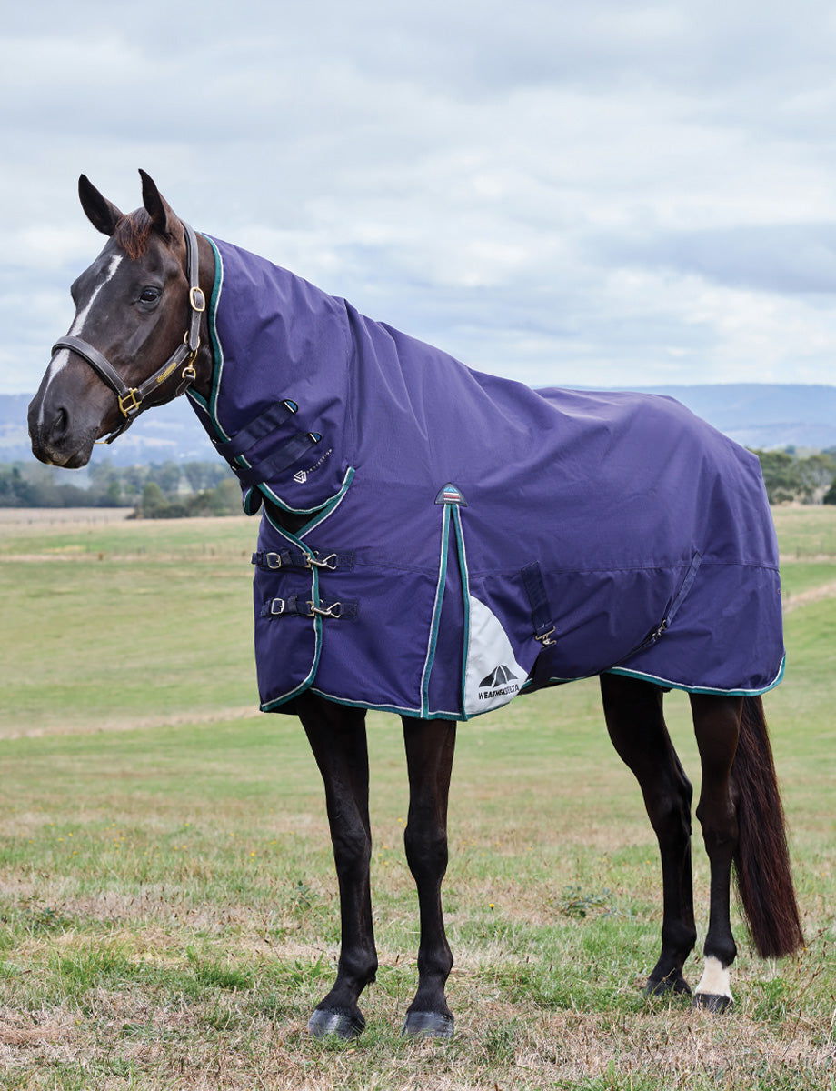 image_addtnl_1 - Navy/Forest Green - WeatherBeeta ComFiTec Plus Dynamic Turnout Combo 100G - .jpg
