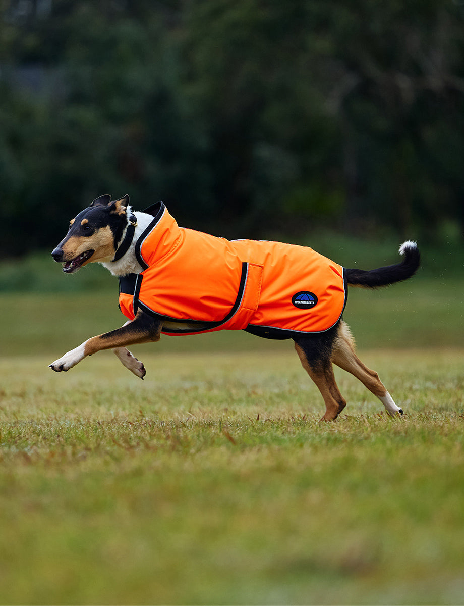 image_addtnl_1 - Orange - WeatherBeeta ComFiTec Reflective 300D Deluxe Showerproof Dog Coat - .jpg