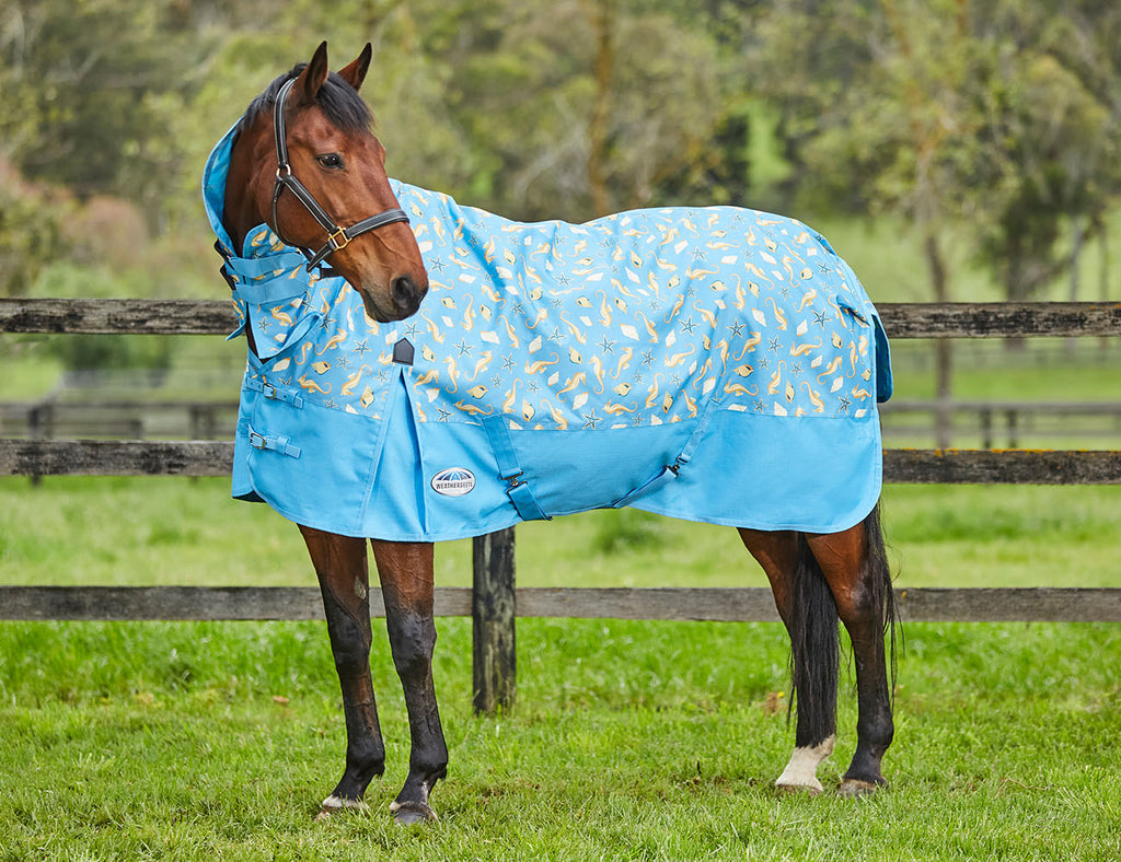 WeatherBeeta ComFiTec Essential Combo Neck Lite