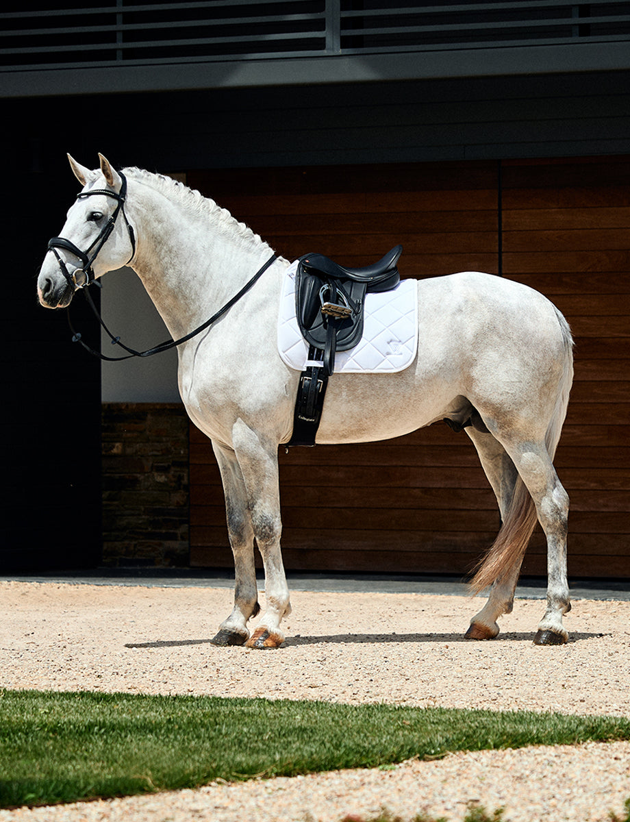 WeatherBeeta Softshell Pro 3D Air-Tec Dressage Saddle Pad