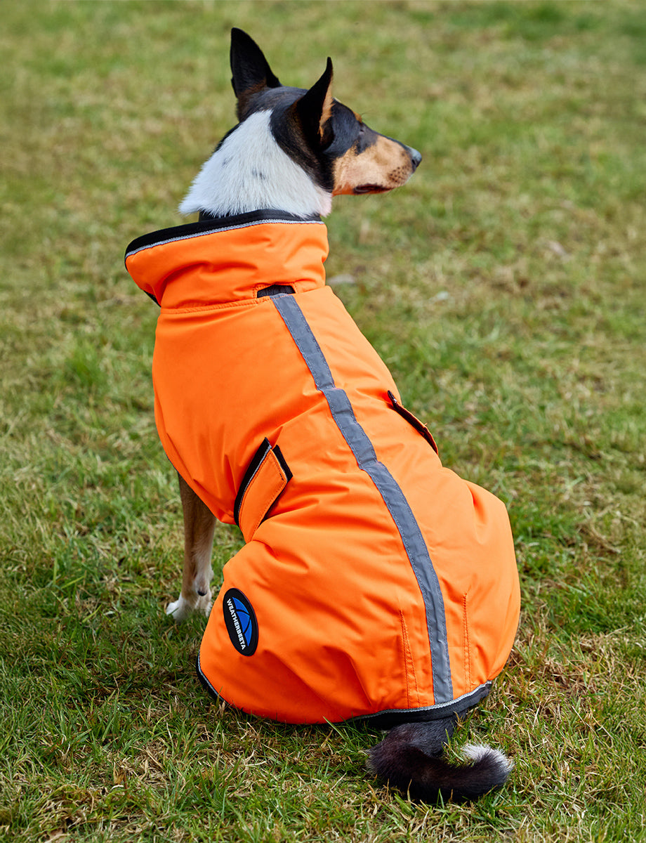 image_addtnl_2 - Orange - WeatherBeeta ComFiTec Reflective 300D Deluxe Showerproof Dog Coat - .jpg