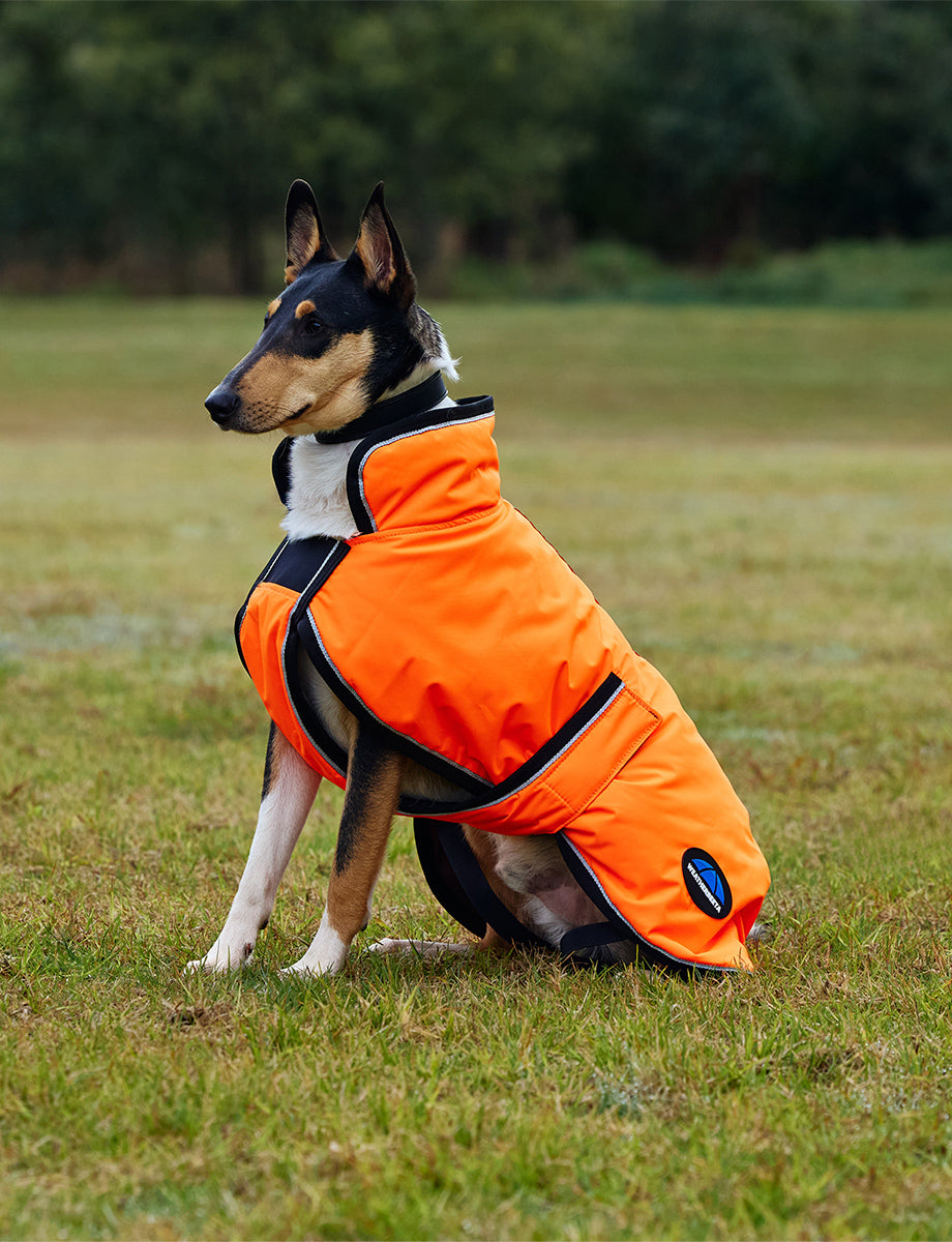 image_addtnl_3 - Orange - WeatherBeeta ComFiTec Reflective 300D Deluxe Showerproof Dog Coat - .jpg