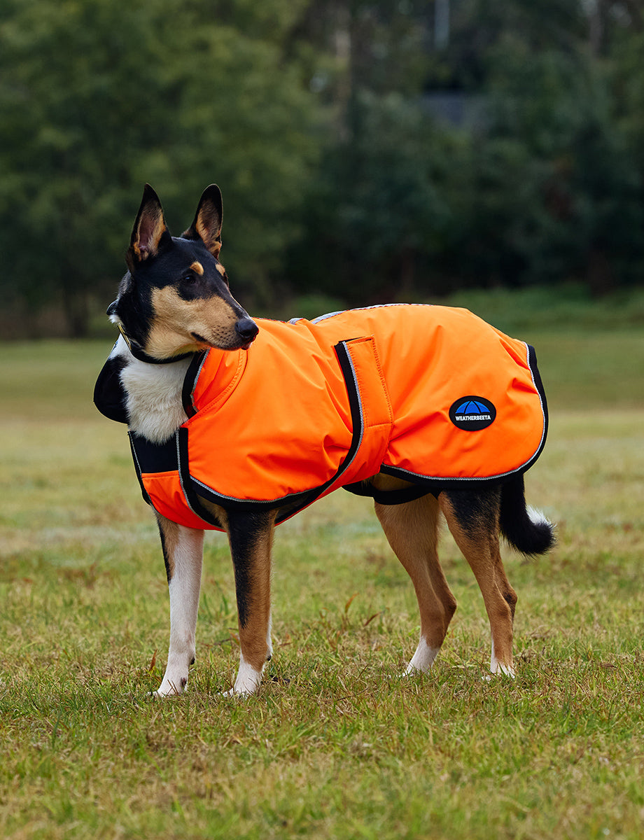 image_addtnl_4 - Orange - WeatherBeeta ComFiTec Reflective 300D Deluxe Showerproof Dog Coat - .jpg