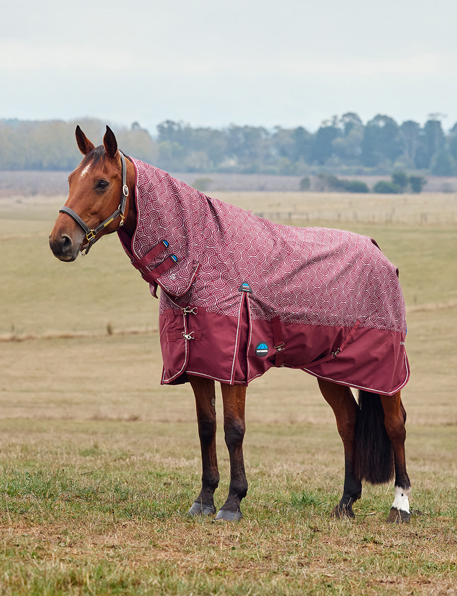 image_main - Bit Print - WeatherBeeta ComFiTec Limited Edition Turnout Combo 220G - .jpg