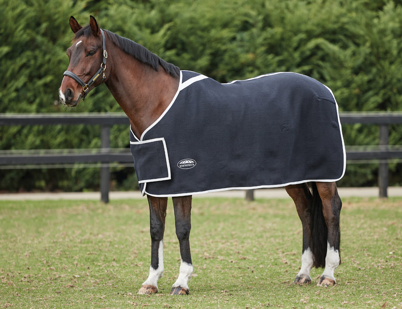 WeatherBeeta Wool with Chest Panel Standard Neck
