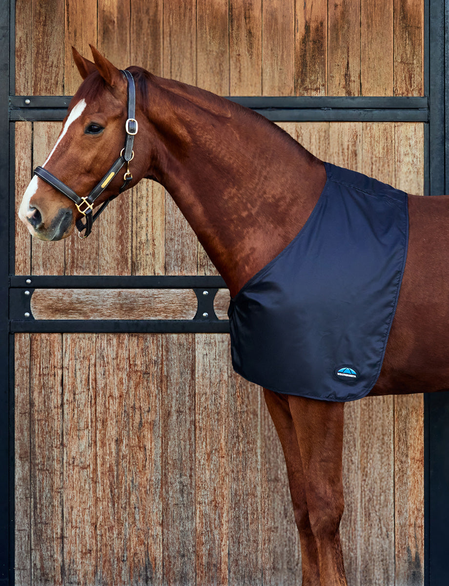 image_main - Black - WeatherBeeta Satin Shoulder Guard - .jpg