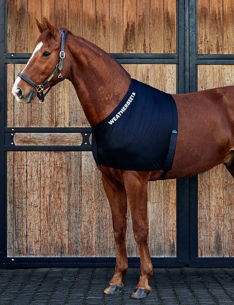 image_main - Black - WeatherBeeta Stretch Shoulder Guard - .jpg