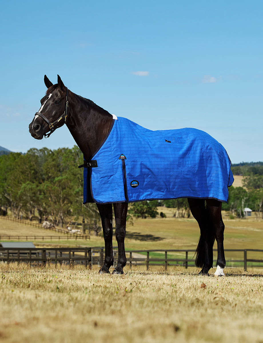 image_main - Blue/Black - WeatherBeeta Lined Canvas - .jpg