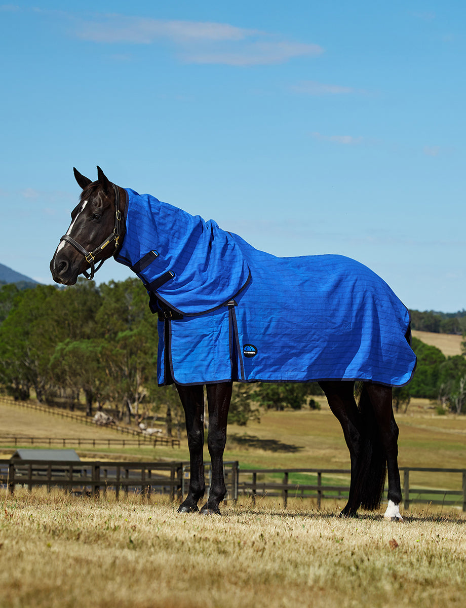 image_main - Blue/Black - WeatherBeeta Lined Canvas Combo - .jpg