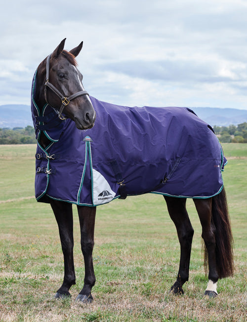 image_main - Navy/Forest Green - WeatherBeeta ComFiTec Plus Dynamic Turnout Combo 100G - .jpg