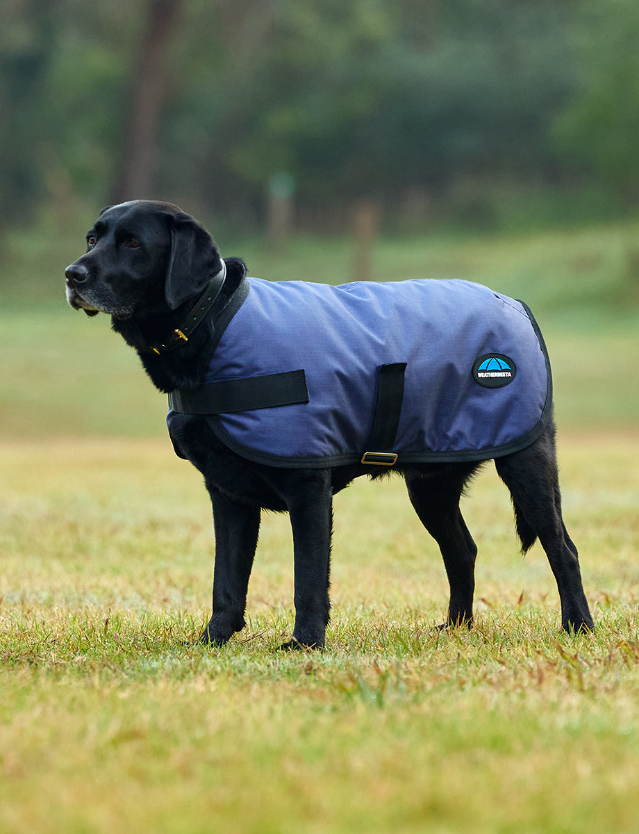 image_main - Navy - WeatherBeeta ComFiTec Classic Waterproof Dog Coat - .jpg