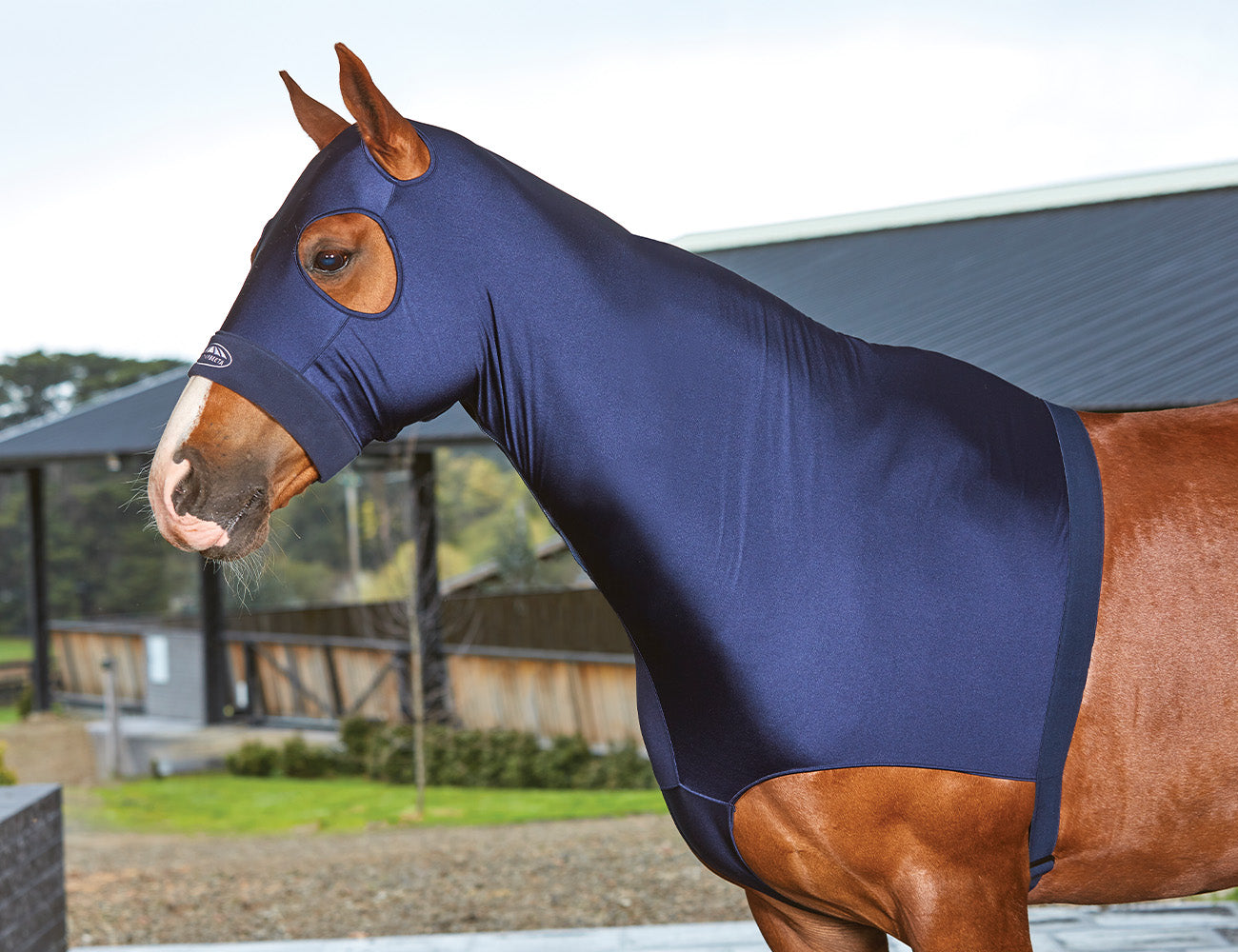 image_main - Navy - WeatherBeeta Deluxe Stretch Hood - .jpg